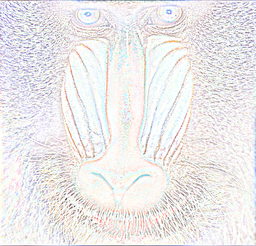 baboon_texture_1.png