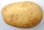 tma4212:2013v:potato0730.jpeg